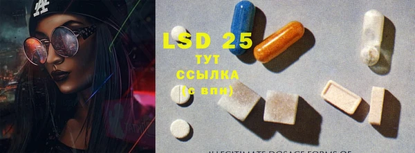 метадон Богданович