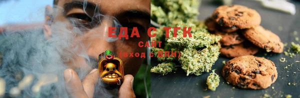 ECSTASY Бородино