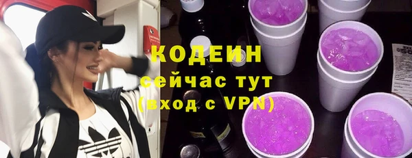 метадон Богданович