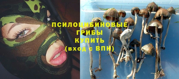 ECSTASY Бородино