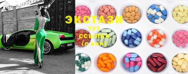 ECSTASY Бородино